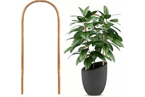 Hanaruer Bamboo Trellis, 20 Pack U-Hoop & U-Shape Garden Trellis with Twist Ties, 16" for Indoor & Outdoor Plants