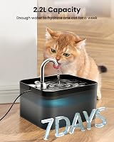 PawPoll Cat Water Fountain 2.2L Ultra Silent Filtered Drinking Fountain Black view 2