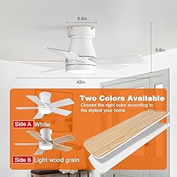 Ceiling Fans with Lights, 30 inch Low Profile