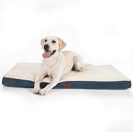 amazon xl dog bed