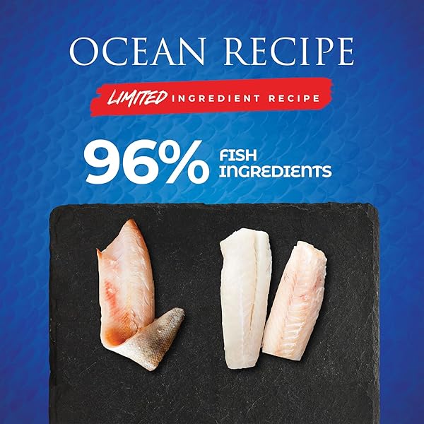 ESSENCE LIR OCEAN DOG FOOD 13-OZ, CASE OF 12