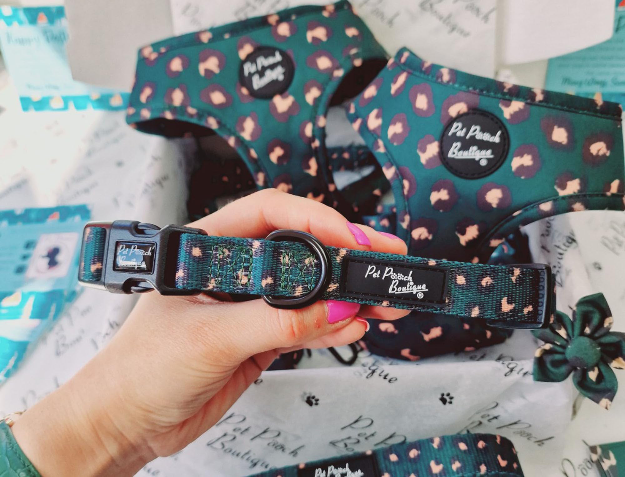 Emerald Green Leopard Dog Collar XS