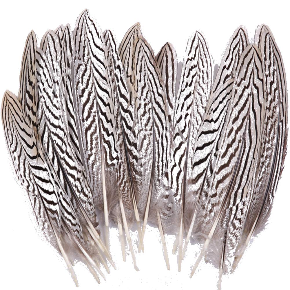 Sowder 10pcs Silver Pheasant Plumage Feathers 7-10 Inches for Home Wedding Decoration