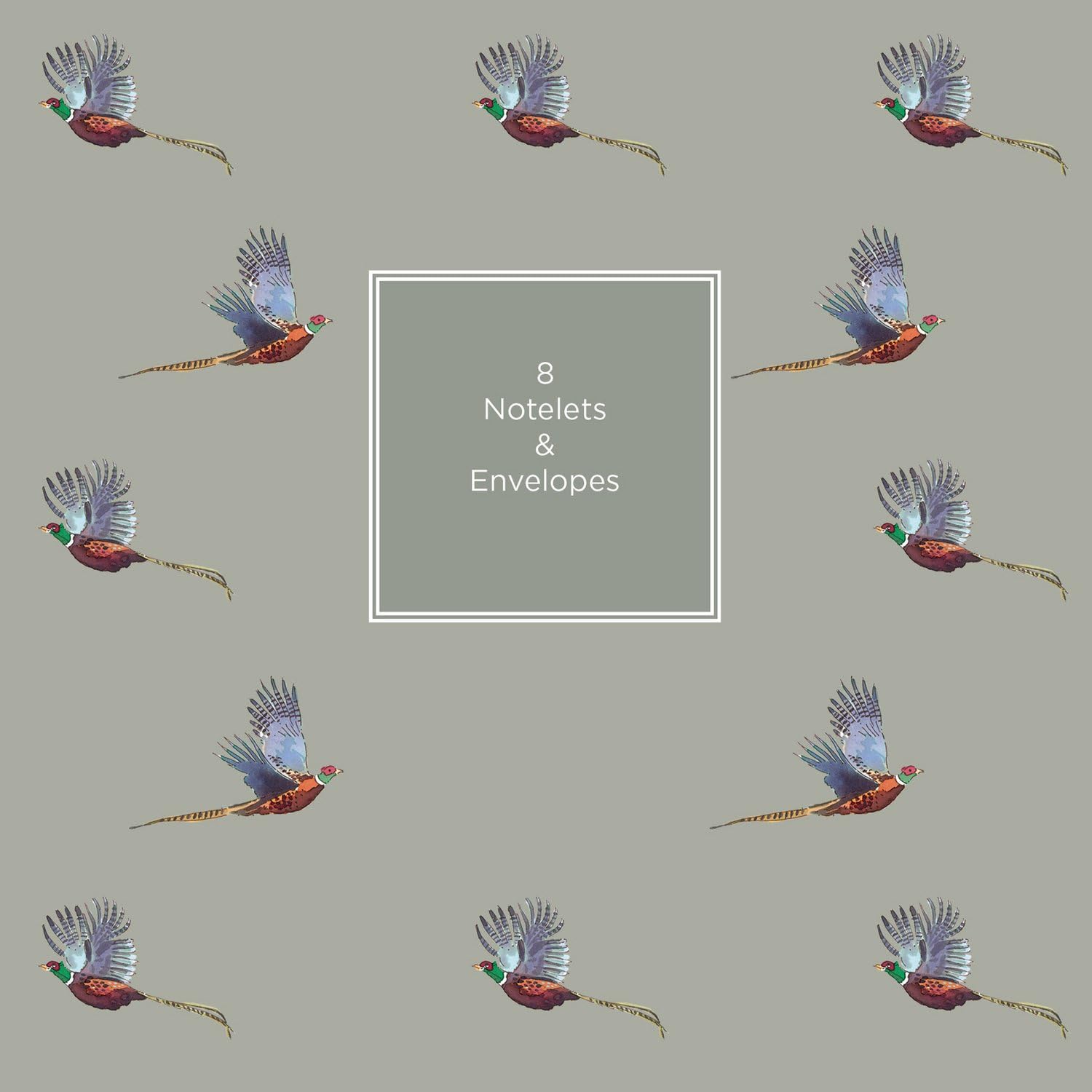 Sophie Allport Notelet Wallet (8 notelets & envelopes) - Pheasant