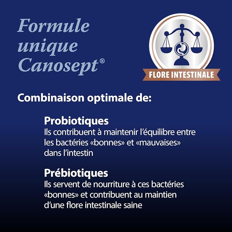 Flore Intestinale Chien - Prébiotiques et Probiotiques Chien - pour stabiliser la Digestion physiologique - Renforcer la Flore intestinale du Chien - 30 comprimés
