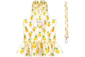PETPUBGNZS Small Dog Dress Harness and Leash Set Cute Princess Birthday Dog Dresses Soft Fruit Print Puppy Dresses Girl Dog Clothes for Small Dogs Cats Chihuahua Yorkie Shih Tzu (Yellow Pineapple,XL)