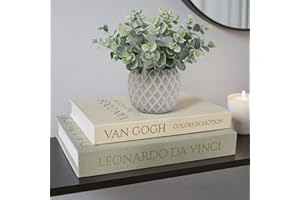 MAOBUYOU Decorative Storage Books Set of 2, Linen Cover, Gold Letters, White and Green