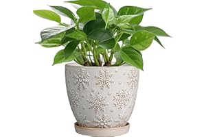 MPotTo 6.9 Inch Plant Pot with Drainage Hole and Saucer Ceramic Planter for Indoor Plant Flower Pot for Orchid Succulents Plants White