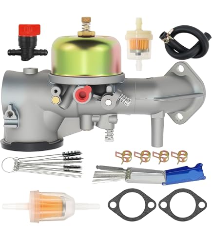 Nuovo carburatore con guarnizione per Briggs & Stratton 491031 490499