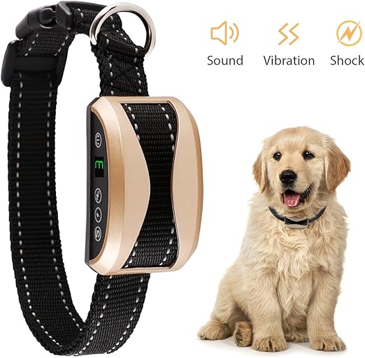 shock collar beeping noise