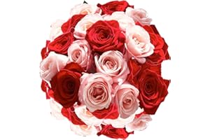 GLOBALROSE 50 Roses- 25 Red and 25 Pink - Fresh Flowers (OM)