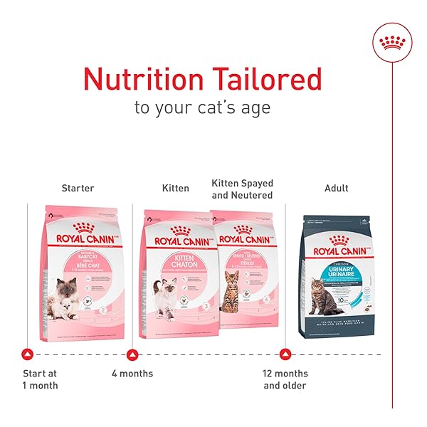 ROYAL CANIN FELINE HEALTH NUTRITION MOTHER & BABYCAT QUEEN DRY CAT FOOD, 6 LB BAG