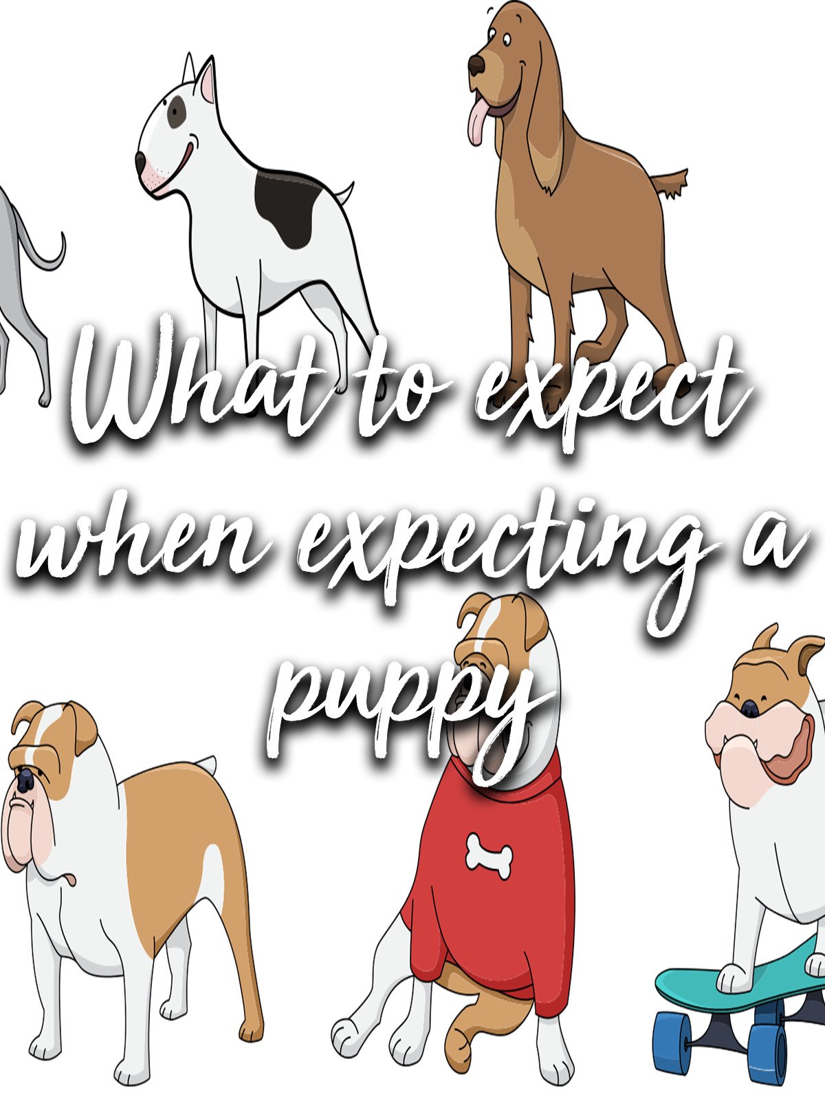 What to expect when expecting a puppy Carolina, A.S