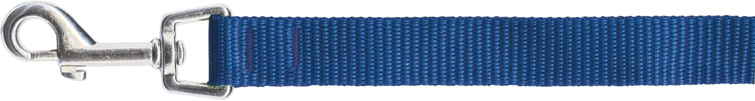 ICA DR2011 Smooth Classic Boby Strap, Blue