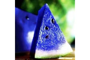 QAUZUY GARDEN 50 Rare Blue Watermelon Seeds for Planting, Sweet, Juicy, Organic Non-GMO Heirloom Fruit Seeds, Grow Your Own Delicious Fruit in Garden Outdoor