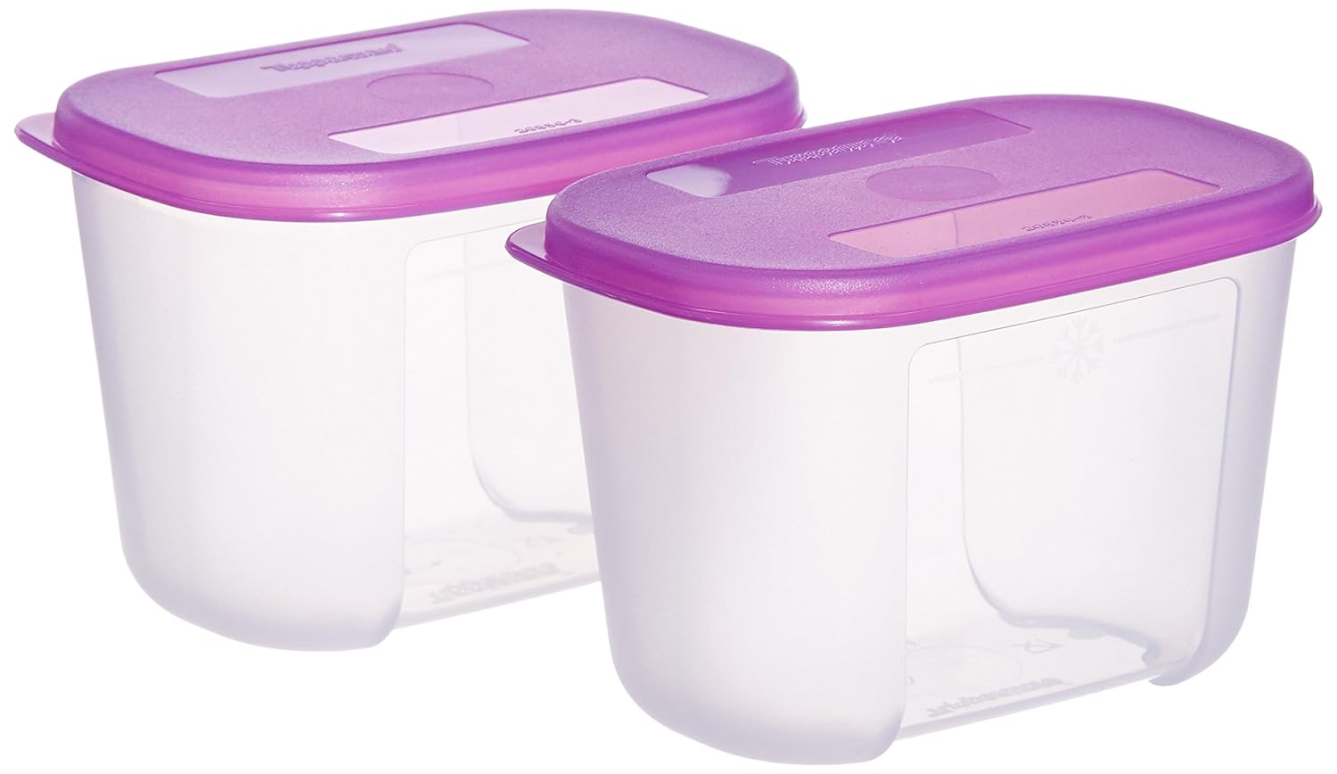 Buy Tupperware Mini Freezer Mate Set, 300ml, Set of 2 (161) Online at
