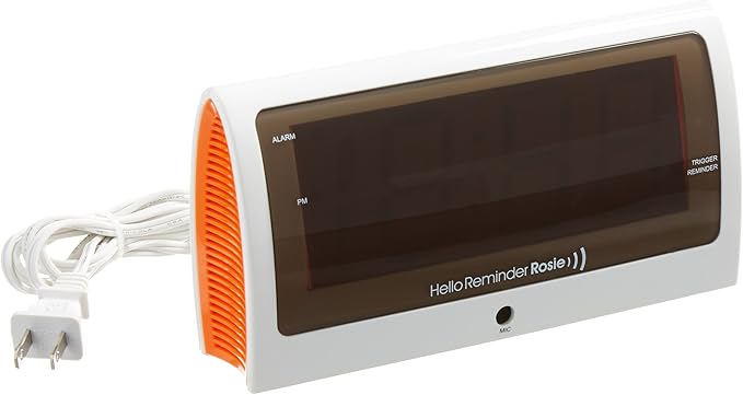 Reminder Rosie Alarm Clock That Responds to Verbal Commands