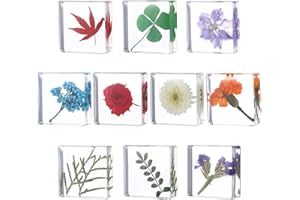 HOOHNNAA 10Pcs Pressed Flower Paper Weights, Real Flower Resin Crafts, Pattern Weights,Paper Weights Decorative,Pressed Flower Ornament,Paper Weights for Office Desk,Specimen Collection for Science Educational