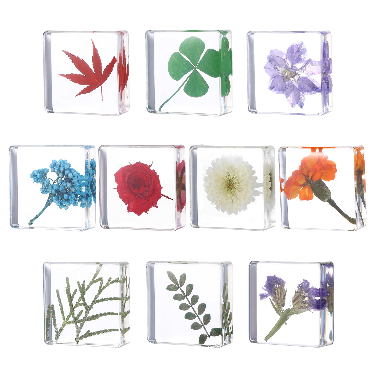 Photo 1 of 10Pcs Pressed Flower Paper Weights, Real Flower Resin Crafts, Pattern Weights,Paper Weights Decorative,Pressed Flower Ornament,Paper Weights for Office Desk,Specimen Collection for Science Educational