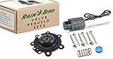 Contractor Rain Bird 100-DV Series Valve Rebuild