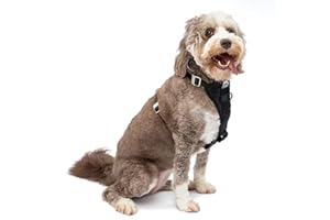 Kurgo Tru-Fit Enhanced Strength Dog Harness, Crash Tested Car Safety Harness for Dogs, Includes Pet Safety Seat Belt, Steel N