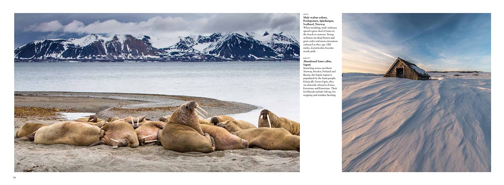 Arctic: Life inside the Arctic Circle (Travel Landscape) Arctic: Life inside the Arctic Circle (Travel Landscape) Hardcover