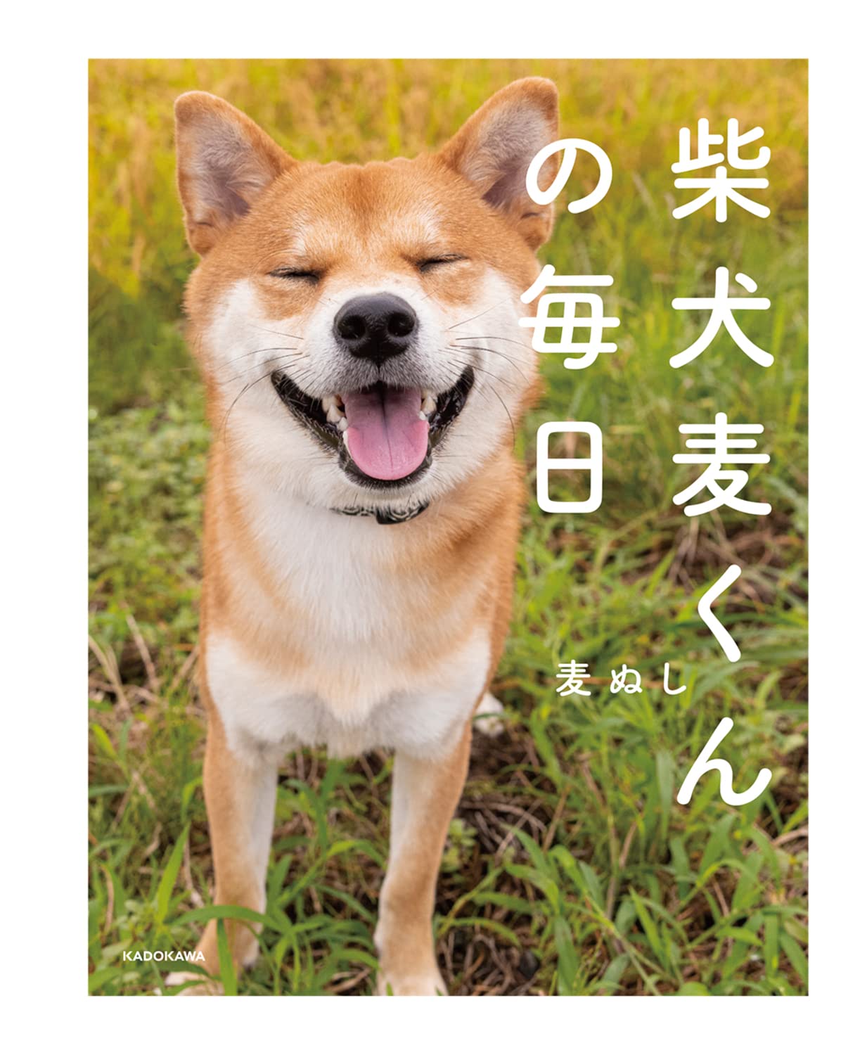 柴犬麦くんの毎日 麦ぬし 本 通販 Amazon 柴犬麦くんの毎日 麦ぬし 本 通販 Amazon