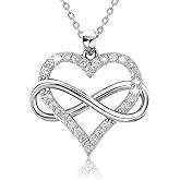 Sash & Soph Infinity Heart Necklace for Women. 925 Sterling Silver Heart Necklace for Girlfriend, Love Heart Pendant on 18" Chain with 2" Extender (Rose Gold or Gold Plated)