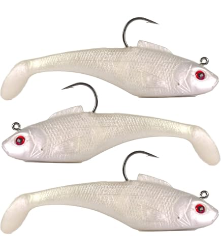 daiwa saltist 1500 Daiwa Saltist 1500 Spinning Reel for sale online