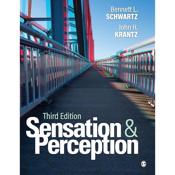 [美品]Sensation & Perception 2nd edition Amazon.com: Sensation and Perception: 9781506383910