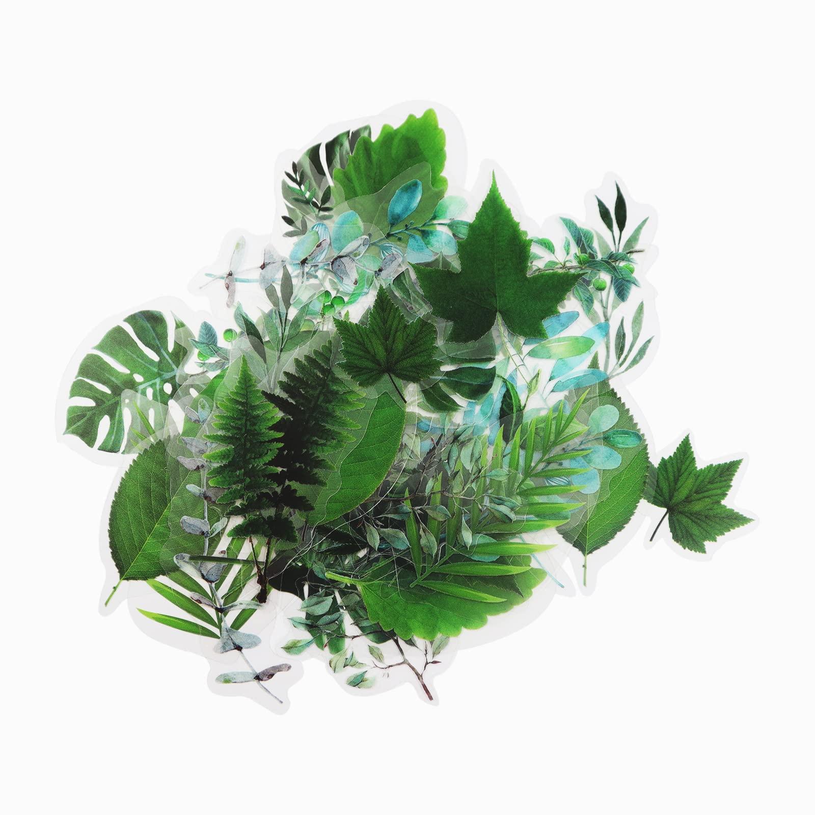 Modixun 160pcs Flower Plant Stickers,20 Patterns PET Transparent Decorative Stickers, Floral Scrapbooking for Craft Album Journal, Style C