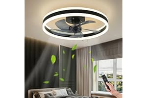 AHAWILL Fandelier Ceiling Fans with Lights and Remote,Modern Flush Mount Ceiling Fan with Light 6 Speeds Timing,Low Profile Ceiling Fans for Bedroom,Study,Dining Room,etc.(19.7" Black)