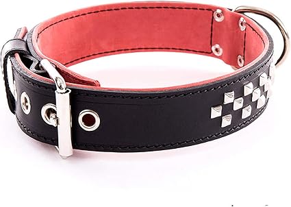 Martin Sellier Collier Cuir Gros Chien Molosse Haute Qualité