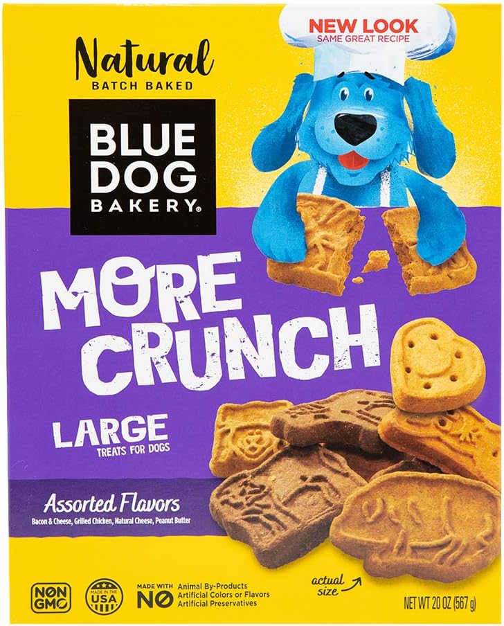 matching dog and owner sweatshirts