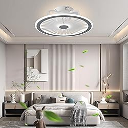 CHANFOK Ceiling Fan with Lights and Remote, Modern