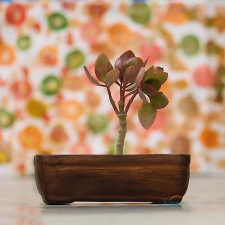 Lasaki Rectangle Ceramic Pots for Indoor Outdoor Flower,Plants,Planters gamla Balcony Home Garden Office Deco Succulent Pot (Color:Antique)(L:18.5 cm, W:11.5 cm, H:6 cm) rec003