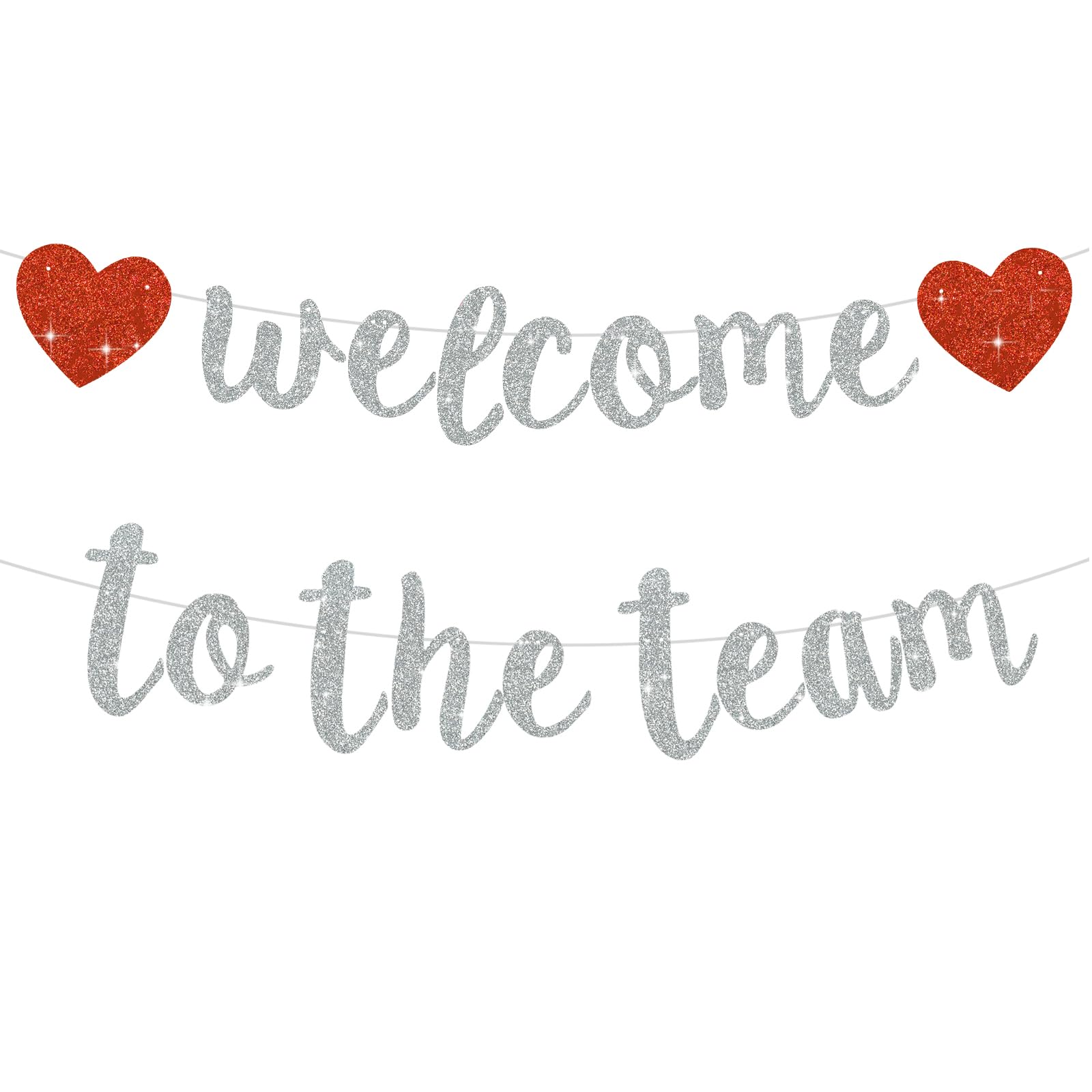 BEISHIDA Silver Welcome to The Team Banner,NO DIY,Office Party Decorations for New Teacher Employee Coworker Staff Colleague Team Member