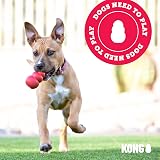 KONG Classic Stuffable Dog Toy Red Rubber Fetch Chew Medium Dogs view 8