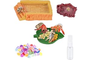 NESTBASICS 5 Pack Hermit Crab Water Pool Hermit Crab Food Bowl Dish Reptile Terrarium Water Bowls Reptile Starter Kits Accessories for Hermit Crab Leopard Gecko Frog Spider Lizard Turtle Bearded Dragon etc