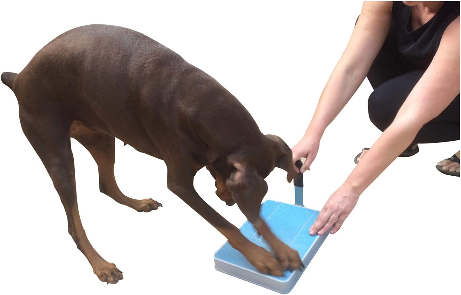 Best using a dremel to trim dog nails