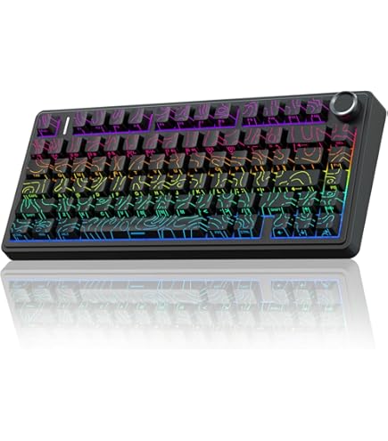 Amazon.com: ZORNHER ZH870 Wireless Gaming Mechanical Keyboard,80