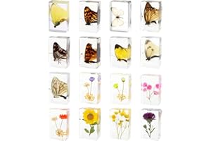 ABURRORI 16 Pcs Butterfly Insect in Resin Specimen Bugs Collection Paperweights，16 Styles Real Bug Specimen Bug Kit Preserved in Resin for Scientific Educational Display Supplies (Butterfly)