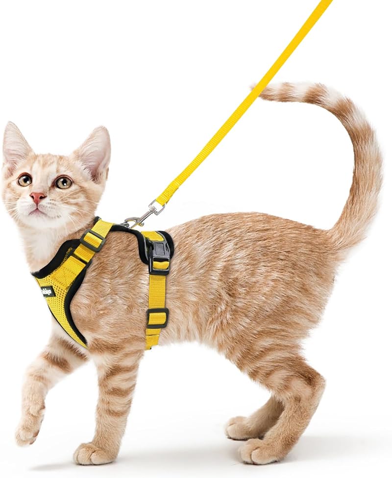 rabbitgoo Cat Harness and Lead Set Adjustable Escape Proof XS Yellow