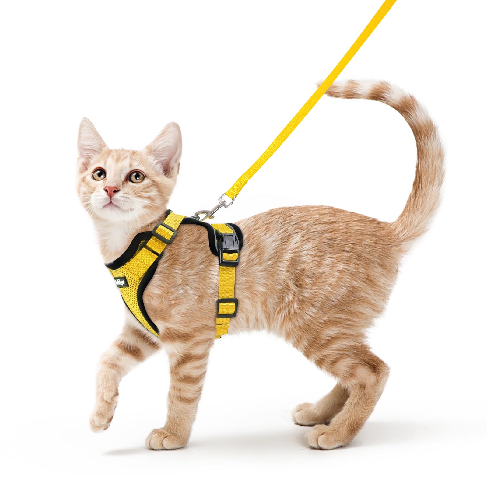 Photo 1 of rabbitgoo Cat Harness and Leash for Walking, Escape Proof Soft Adjustable Vest Harnesses for Cats, Easy Control Breathable Reflective Strips Jacket, Yellow, S