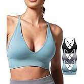 V Neck Adjustable Spaghetti Straps Sports Bra for Women, Padded Criss Cross Back Longline Yoga Bra Workout Crop Top Multipack