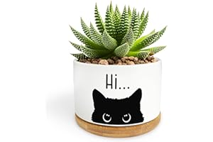 BTTWKCO Black Cat Ceramic Pot, Cute Planter Succulent Plant Cactus Flower Porcelain Holder Container Home Office Decoration for Plant Lovers Teacher Friends Coworkers