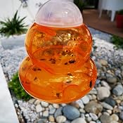 Piège à Guêpes ASPECTEK Lot De 2 - Suspendu Ou à Poser - Solution Naturelle Pour Intérieur/extérieur