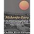 Mohenjo-daro: The History and Legacy of the Ancient Settlement of the Indus Valley Civilization
