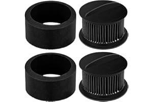 Leadaybetter 2 Replacement Filter for Bissell Power Force & Helix Turbo Inner and Outer Filter Set for Bissell 32R9,203-7913