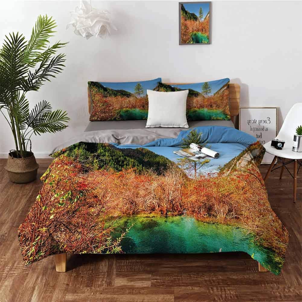 The 2 Best Building Dry Creek Beds In Landscapes